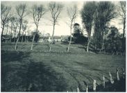 oz342849.jpg