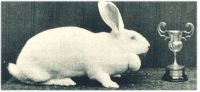 oz342871.jpg