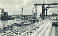 oz342876.jpg