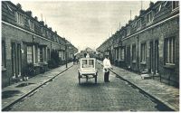 oz342949.jpg