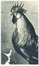oz342959.jpg