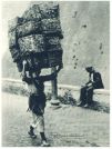 oz342973.jpg