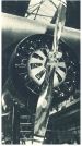 oz342984.jpg