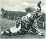 oz342986.jpg