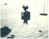 oz343004.jpg