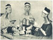 oz343105.jpg