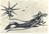 oz343116.jpg