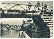 oz343126.jpg