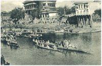 oz343127.jpg