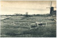 oz343152.jpg