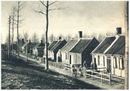 oz343153.jpg