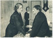 oz343172.jpg