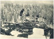 oz343179.jpg