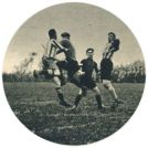 oz343180.jpg