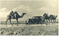 oz343184.jpg