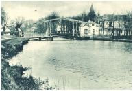 oz343333.jpg