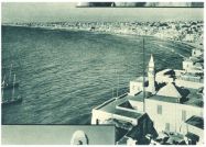 oz343416.jpg