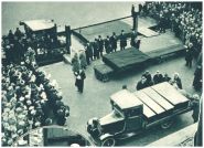 oz343606.jpg