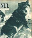 oz343616.jpg