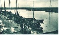 oz343646.jpg