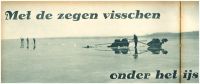 oz343712.jpg