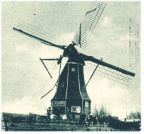 oz343772.jpg