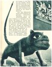 oz343814.jpg