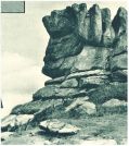 oz343940.jpg