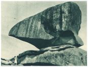 oz343941.jpg
