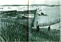 oz343976.jpg
