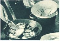 oz344157.jpg