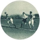 oz344164.jpg