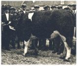 oz344464.jpg