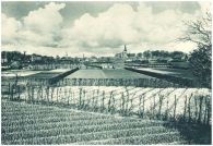 oz344542.jpg