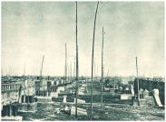 oz344558.jpg