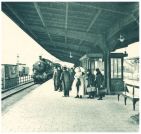 oz344687.jpg