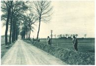 oz344756.jpg