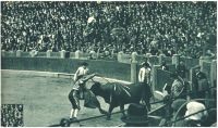 oz344814.jpg