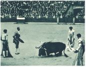 oz344817.jpg