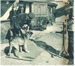 oz344842.jpg