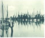 oz344880.jpg