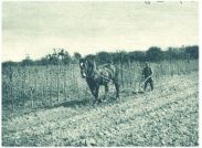 oz344959.jpg