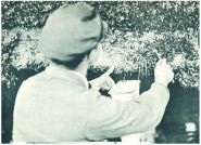 oz345013.jpg