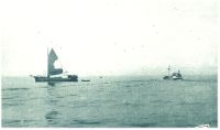oz345021.jpg