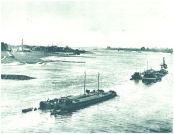 oz345052.jpg