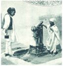 oz345055.jpg