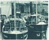 oz345111.jpg
