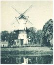 oz345208.jpg