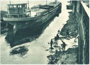 oz345250.jpg