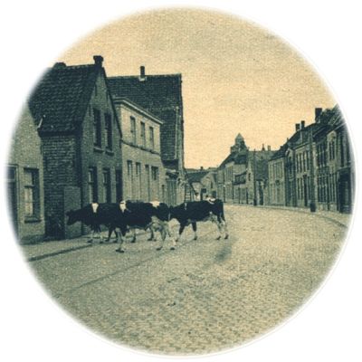 Klik voor de volgende foto